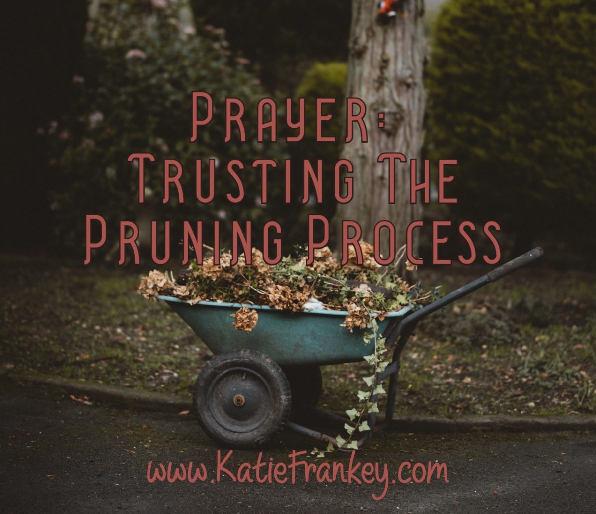 Prayer: Trust in the Pruning Process
