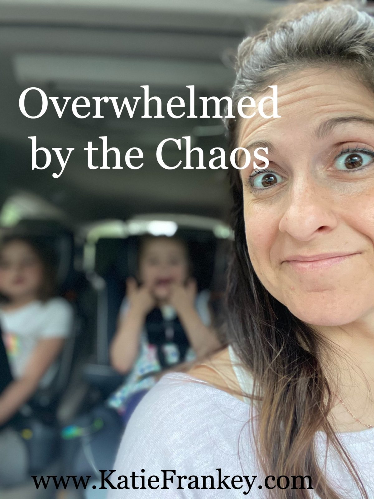 Overwhelmed by the Chaos